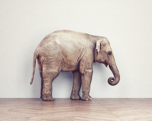 文章样式五:视频列表