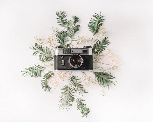 文章中插入卡片